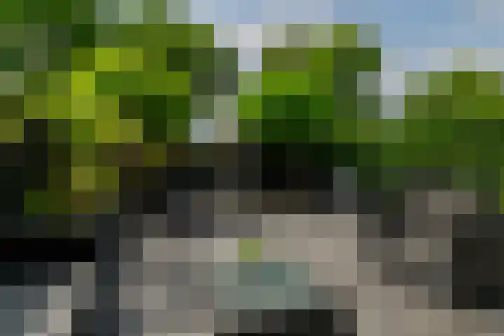 Rietvelddreef 40 Barendrecht thumbnail 54