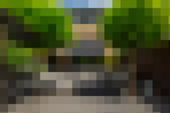Rietvelddreef 40 Barendrecht thumbnail 57