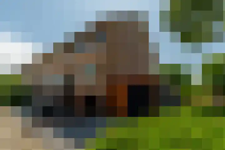 Rietvelddreef 40 Barendrecht thumbnail 9