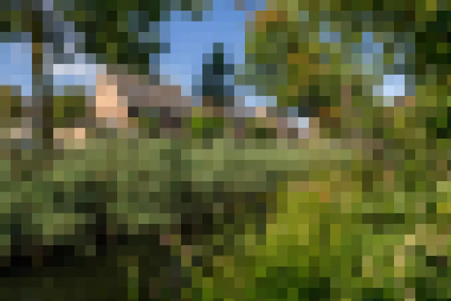 Rietvelddreef 56 Barendrecht thumbnail 54