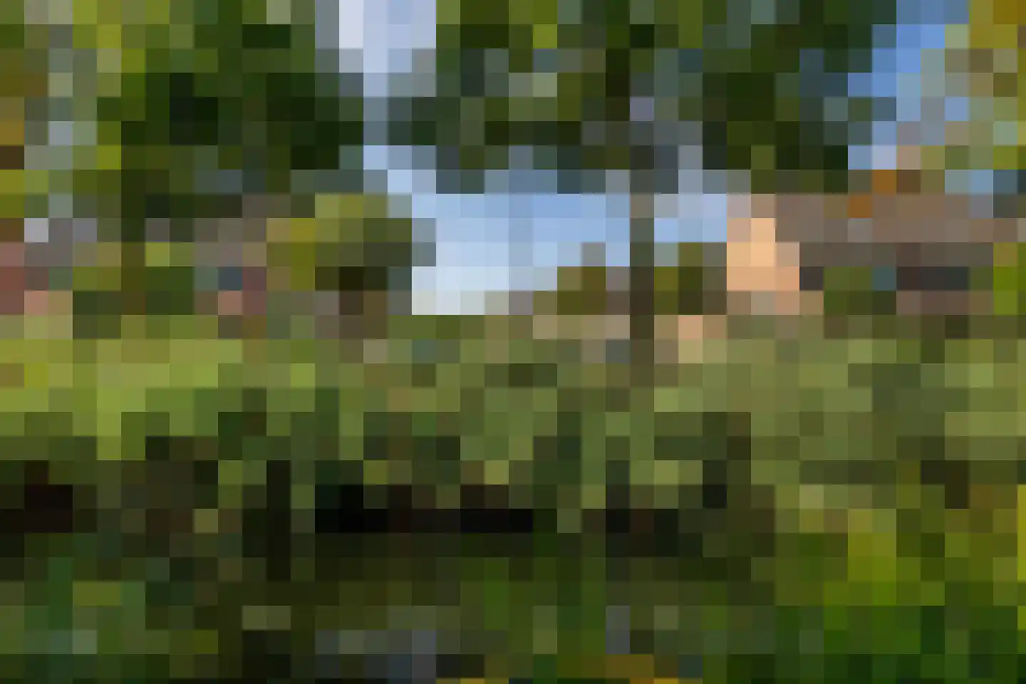 Rietvelddreef 56 Barendrecht thumbnail 55