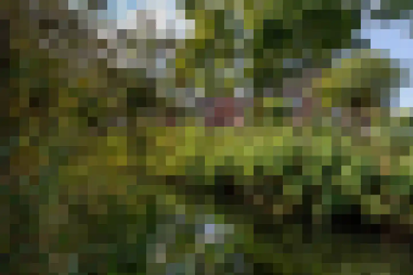 Rietvelddreef 56 Barendrecht thumbnail 56