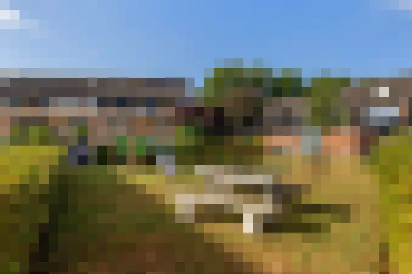 Rietvelddreef 56 Barendrecht thumbnail 57