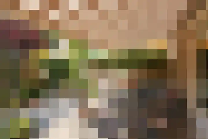 Rietvelderf 16 Amersfoort thumbnail 32
