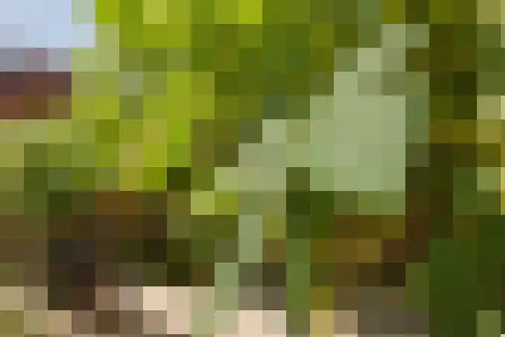 Rietvelderf 16 Amersfoort thumbnail 36