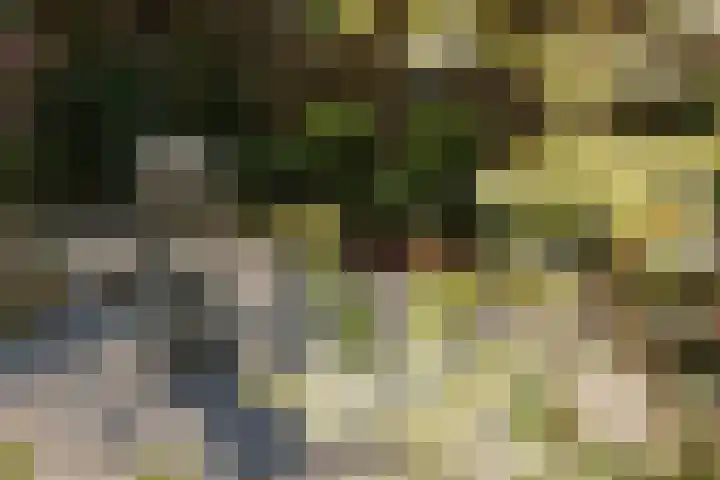Rietvelderf 16 Amersfoort thumbnail 39
