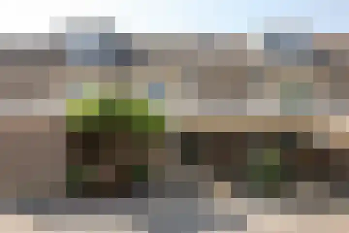 Rietvelderf 16 Amersfoort thumbnail 50