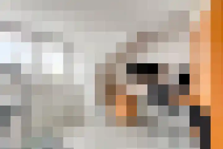 Rietvelderf 24 Amersfoort thumbnail 21