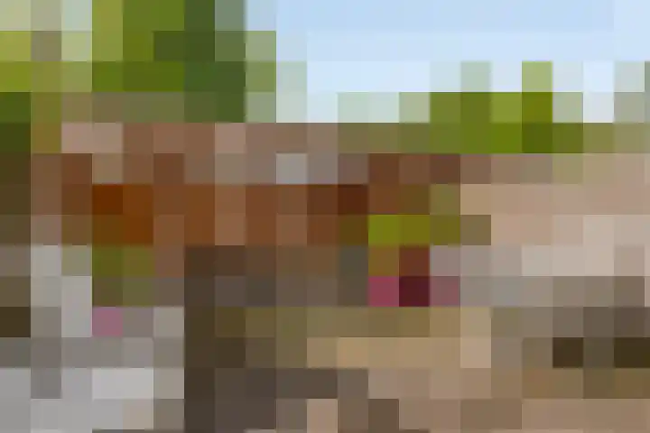 Rietvelderf 24 Amersfoort thumbnail 25
