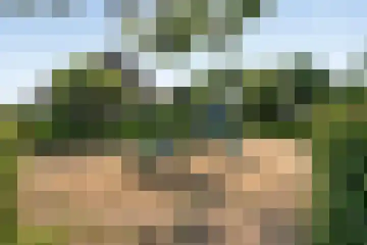 Rietvelderf 24 Amersfoort thumbnail 29