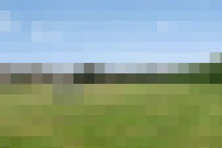 Rietvelderf 24 Amersfoort thumbnail 31