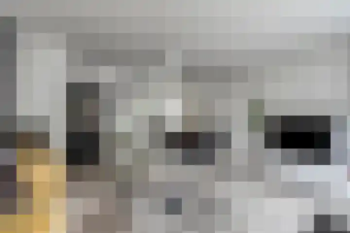 Rietvelderf 24 Amersfoort thumbnail 6