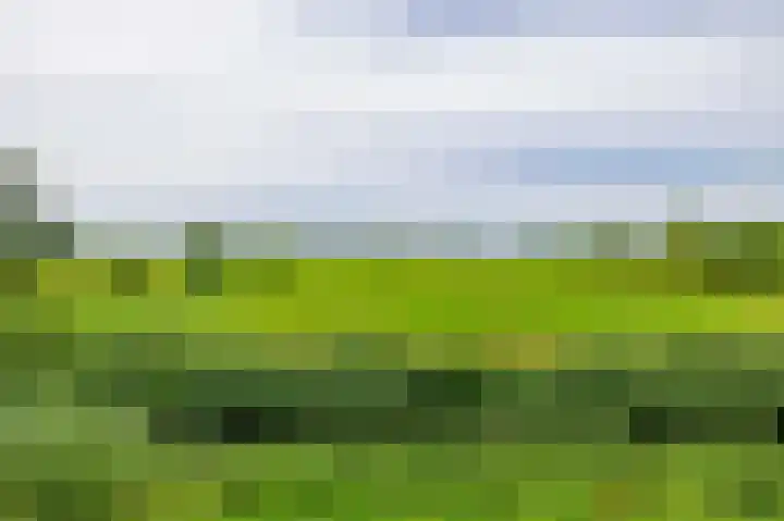 Rietveldlaan 113 Wageningen thumbnail 24