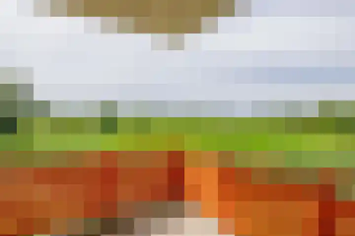 Rietveldlaan 113 Wageningen thumbnail 25