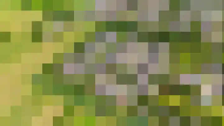 Rietveldlaan 113 Wageningen thumbnail 35