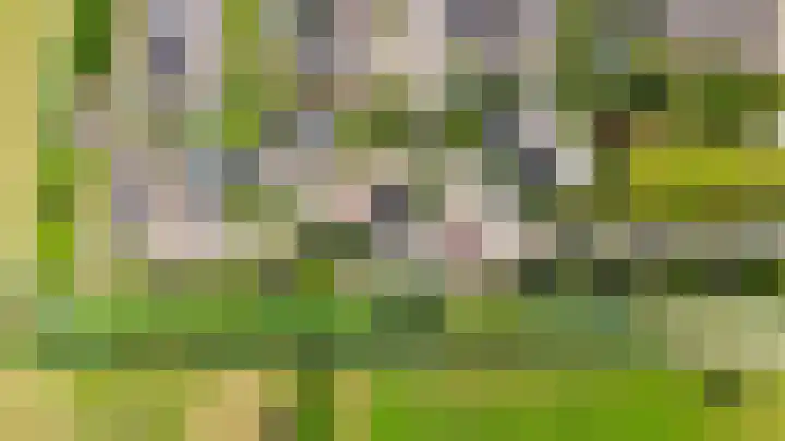 Rietveldlaan 113 Wageningen thumbnail 36