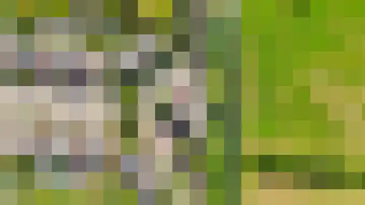 Rietveldlaan 113 Wageningen thumbnail 38
