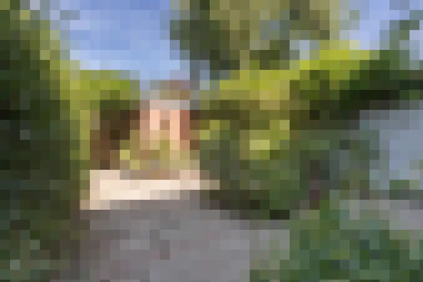 Rietveldlaan 18 Wageningen thumbnail 28