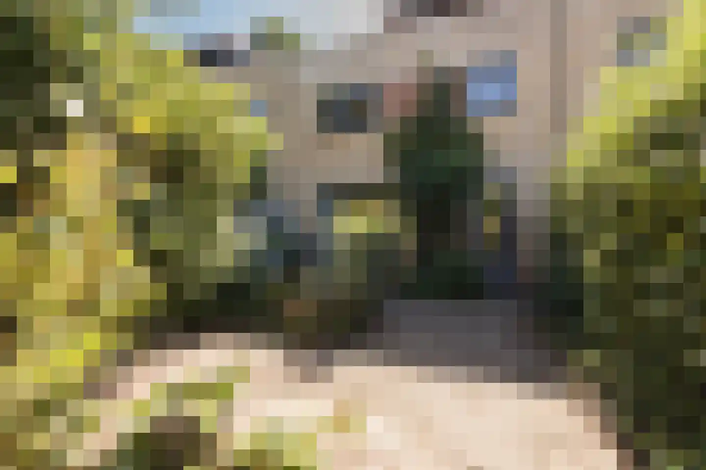 Rietveldlaan 18 Wageningen thumbnail 29