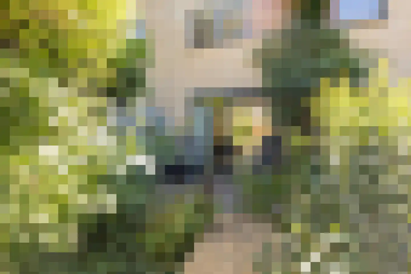 Rietveldlaan 18 Wageningen thumbnail 30