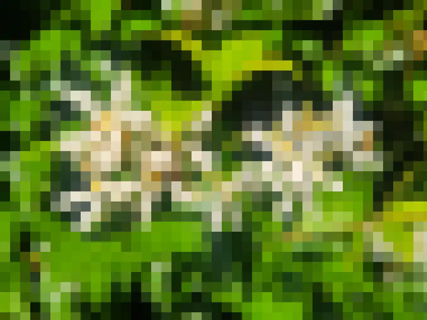 Rietveldlaan 18 Wageningen thumbnail 35