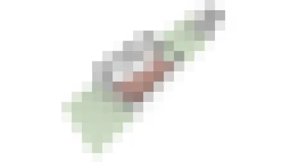 Rietveldlaan 18 Wageningen thumbnail 46