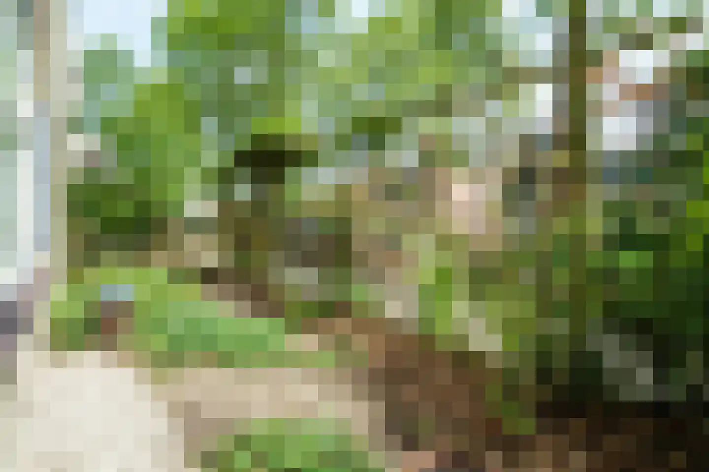 Rietveldlaan 71 Wageningen thumbnail 20