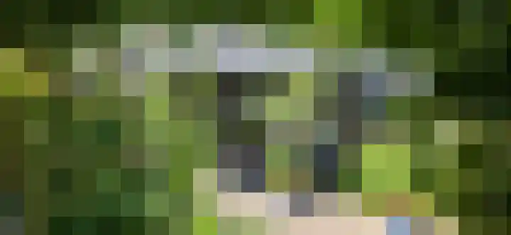 Rietveldlaan 72 Wageningen thumbnail 25
