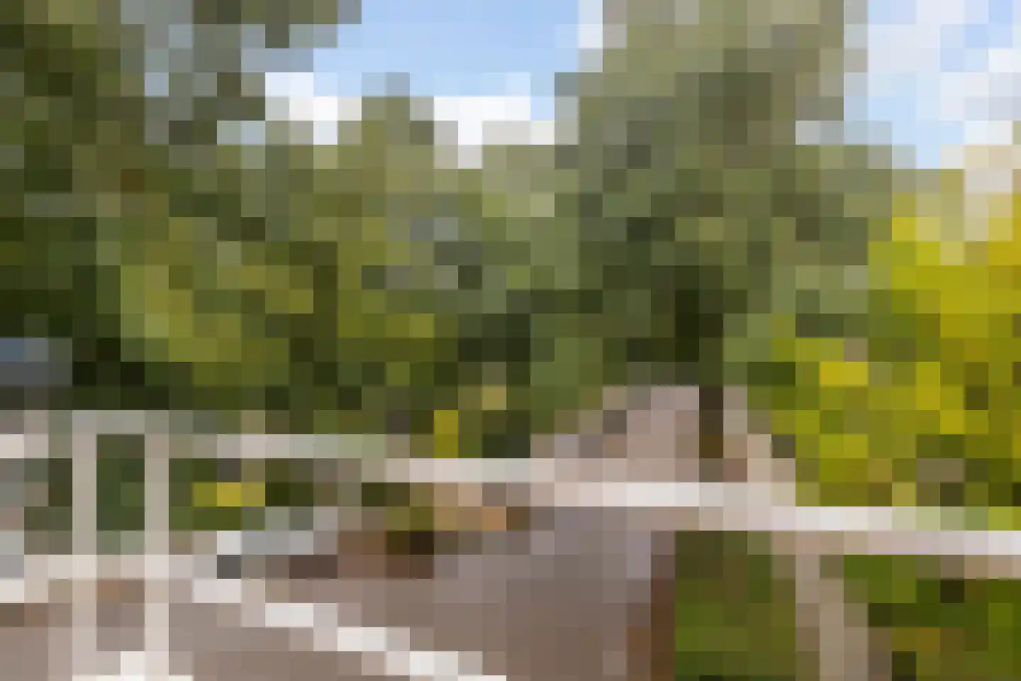 Rietveldlaan 73 Wageningen thumbnail 23