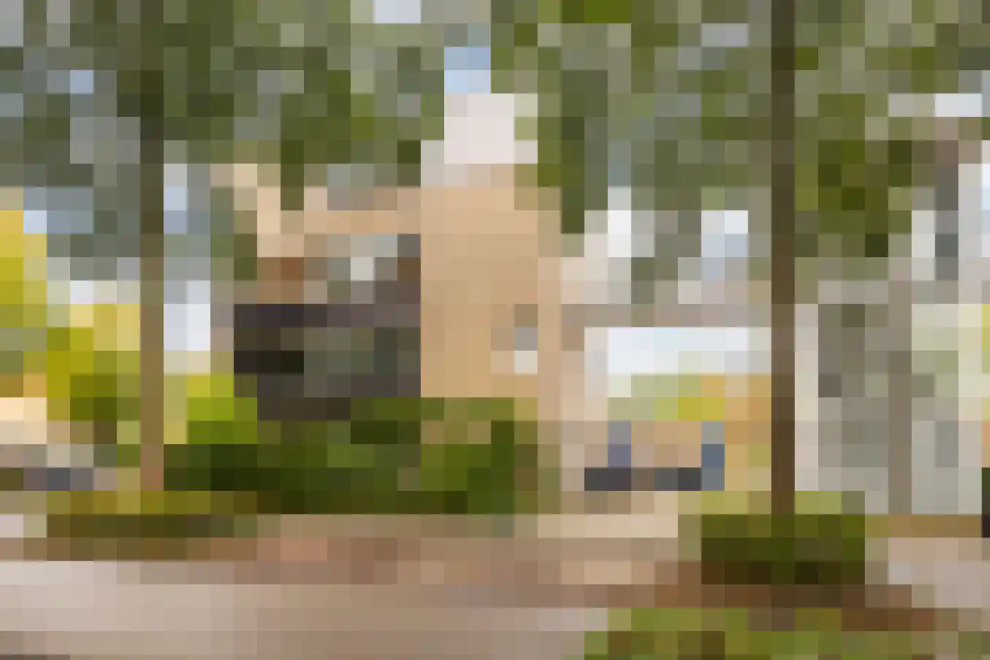 Rietveldlaan 73 Wageningen thumbnail 24