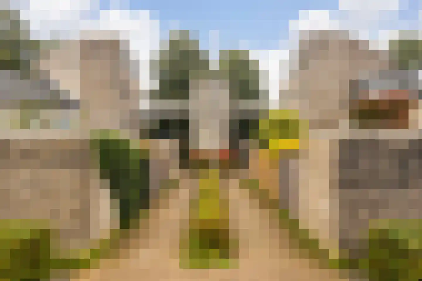 Rietveldlaan 73 Wageningen thumbnail 27