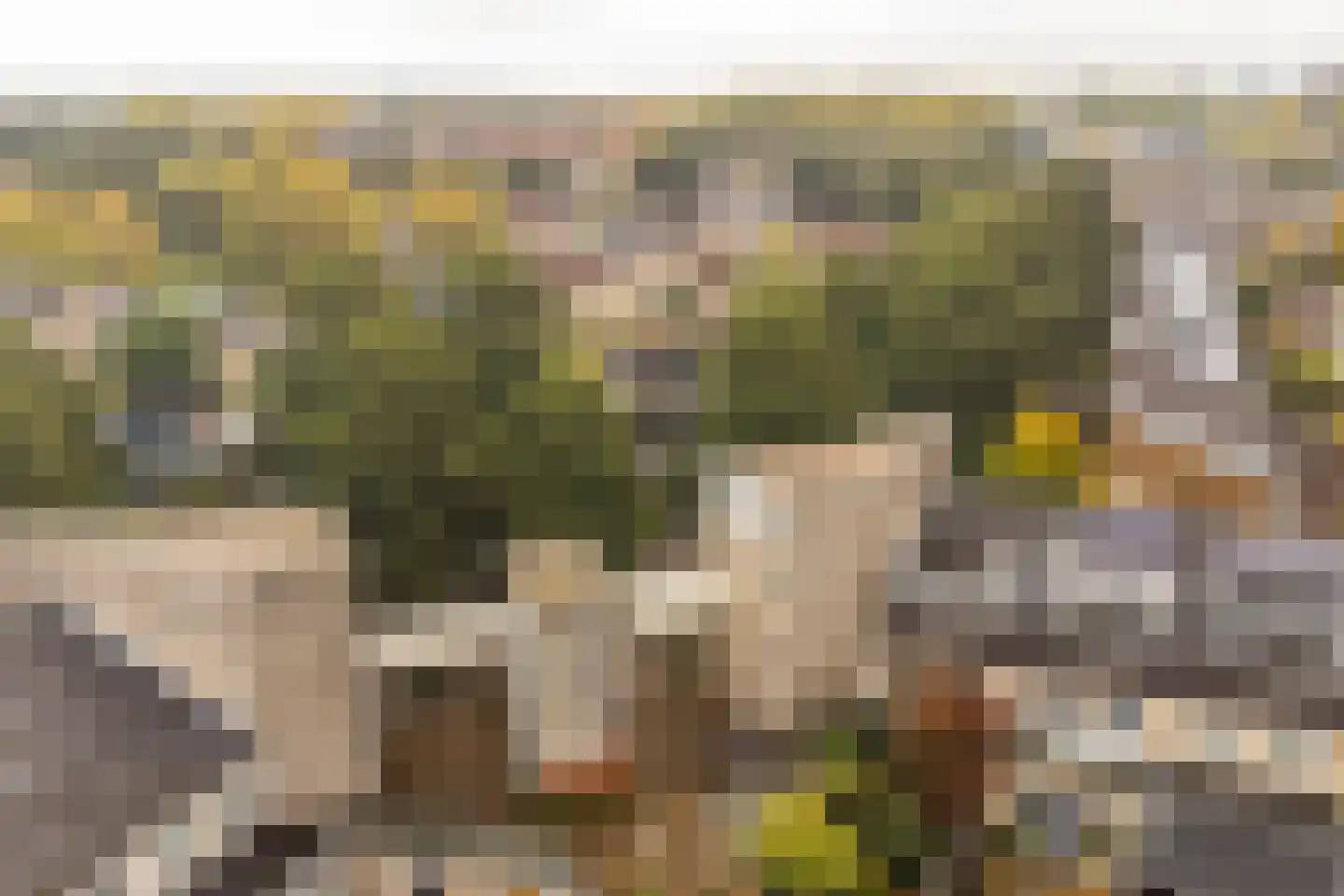 Rietveldlaan 73 Wageningen thumbnail 28