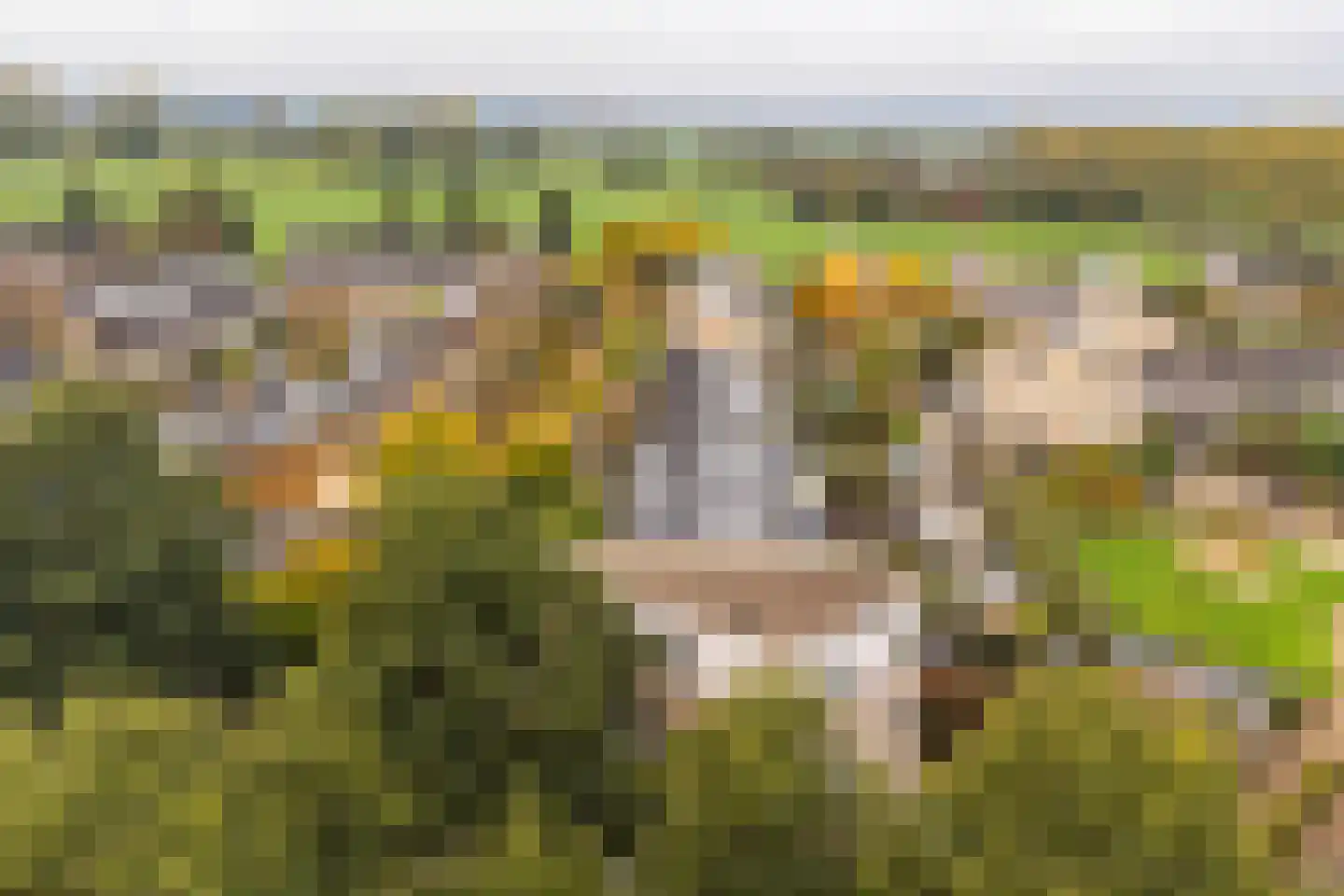 Rietveldlaan 73 Wageningen thumbnail 29
