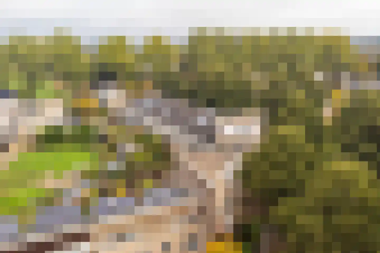 Rietveldlaan 73 Wageningen thumbnail 30