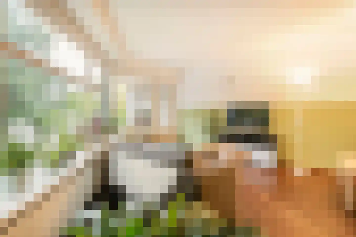 Rietveldlaan 73 Wageningen thumbnail 5
