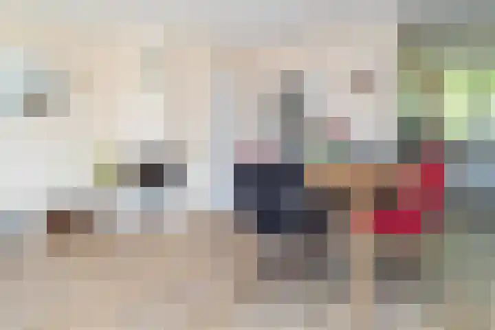 Rietveldpad 3 Leiden thumbnail 24