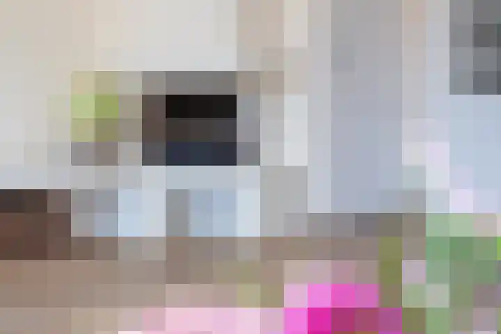 Rietveldpad 3 Leiden thumbnail 25