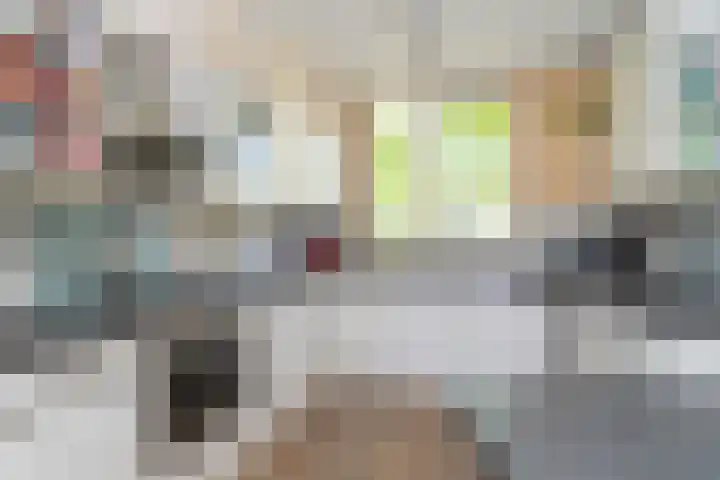 Rietveldpad 3 Leiden thumbnail 27