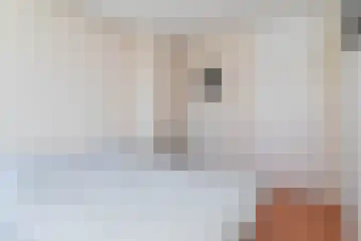 Rietveldpad 3 Leiden thumbnail 30