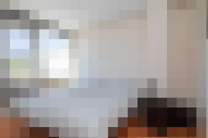 Rietveldpad 3 Leiden thumbnail 31
