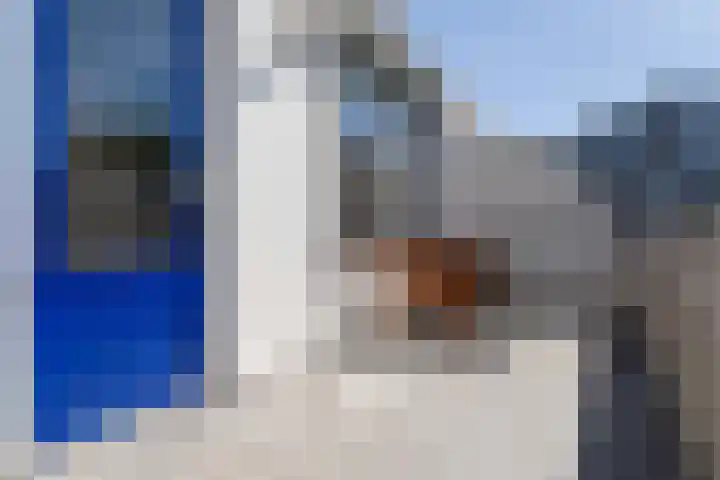 Rietveldpad 3 Leiden thumbnail 32
