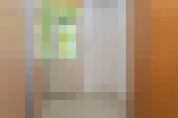 Rietveldpad 3 Leiden thumbnail 38