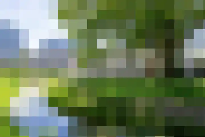 Rietveldpad 3 Leiden thumbnail 4