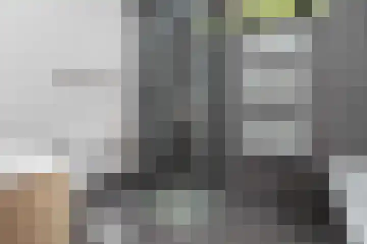 Rietveldpad 3 Leiden thumbnail 40