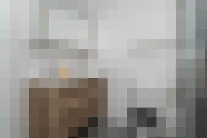 Rietveldpad 3 Leiden thumbnail 41