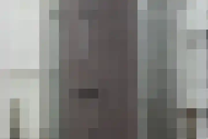 Rietveldpad 3 Leiden thumbnail 42