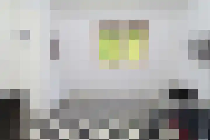 Rietveldpad 3 Leiden thumbnail 46