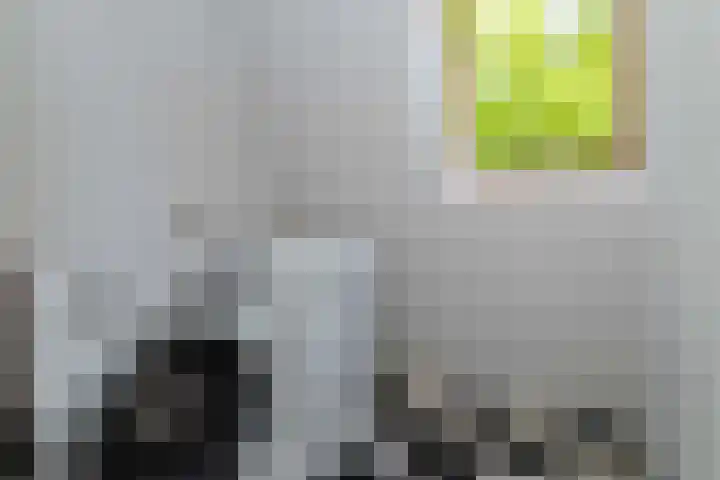 Rietveldpad 3 Leiden thumbnail 48