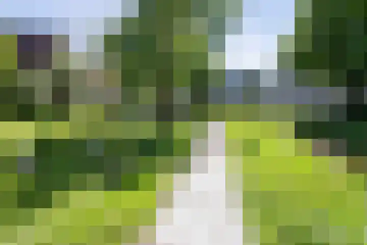 Rietveldpad 3 Leiden thumbnail 49