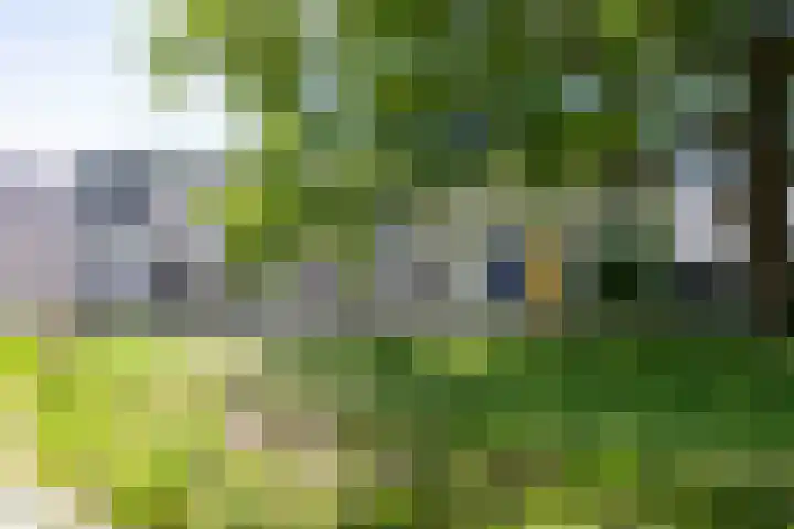 Rietveldpad 3 Leiden thumbnail 5